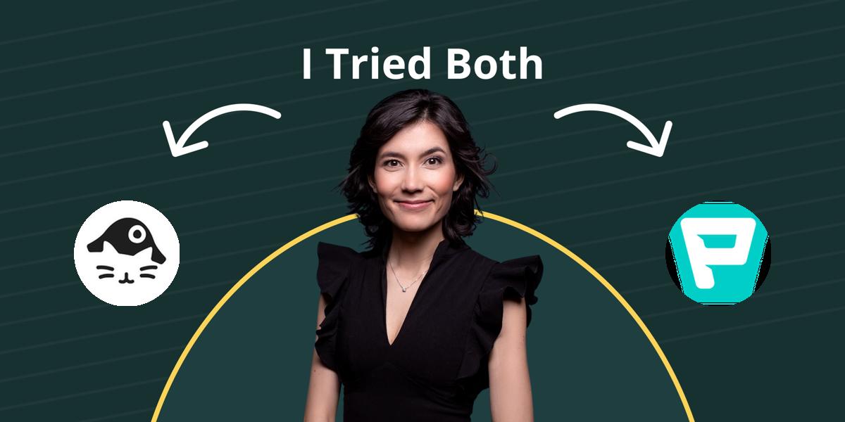 napoleoncat-vs-publer-2025-comparison